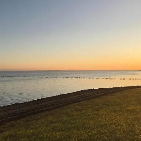 Lyngvejen Romo V Romo