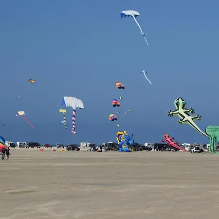 Lyngvejen Romo V * Romo