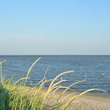 Lyngvejen Romo V Holiday home *