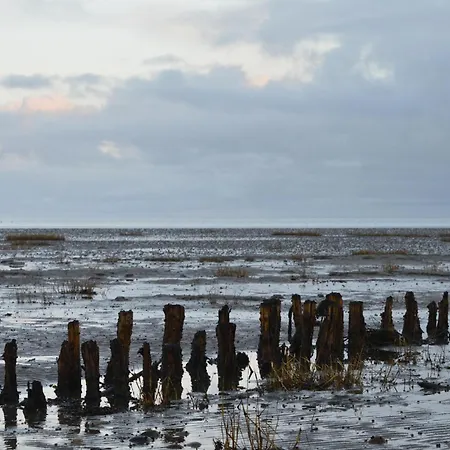 Lyngvejen Romo V Holiday home *