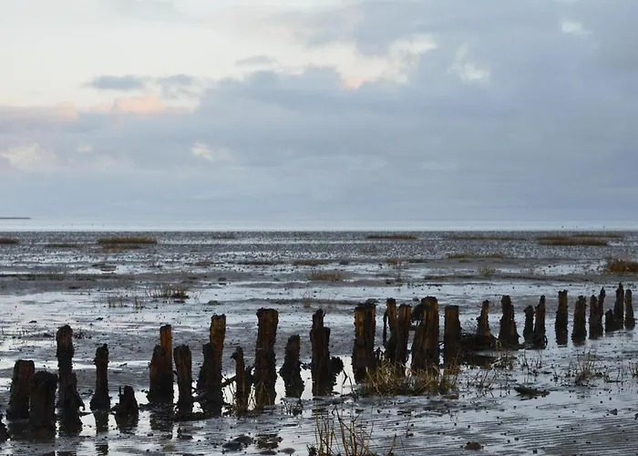 Lyngvejen V Casa de Férias *